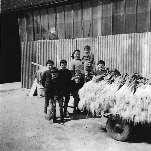 La ferme dans les années 1950-1960