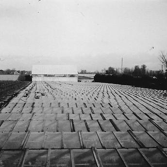 La ferme dans les années 1950-1960