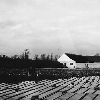 La ferme dans les années 1950-1960