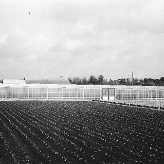 La ferme dans les années 1950-1960