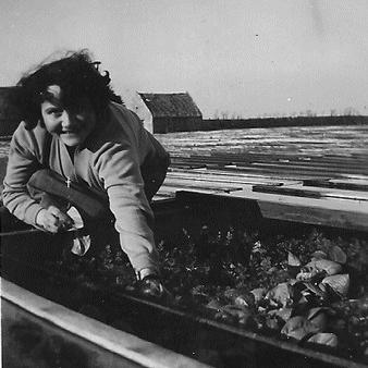 La ferme dans les années 1950-1960