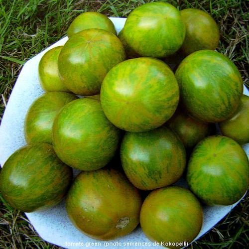 Les tomates bio de la ferme