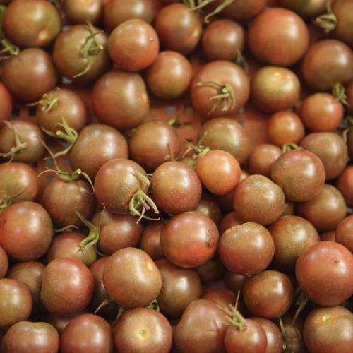 Légumes bio de la ferme