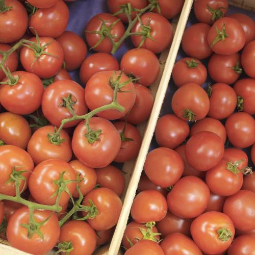 Légumes bio de la ferme